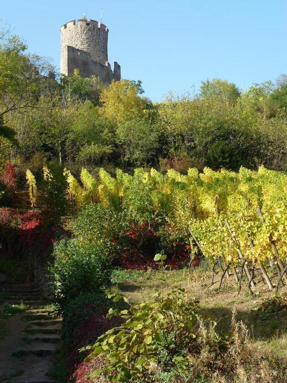 Hotel Les Remparts Kaysersberg-Vignoble Kültér fotó