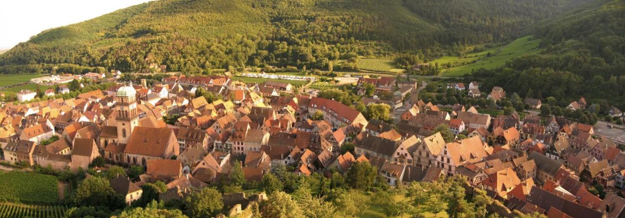 Hotel Les Remparts Kaysersberg-Vignoble Kültér fotó