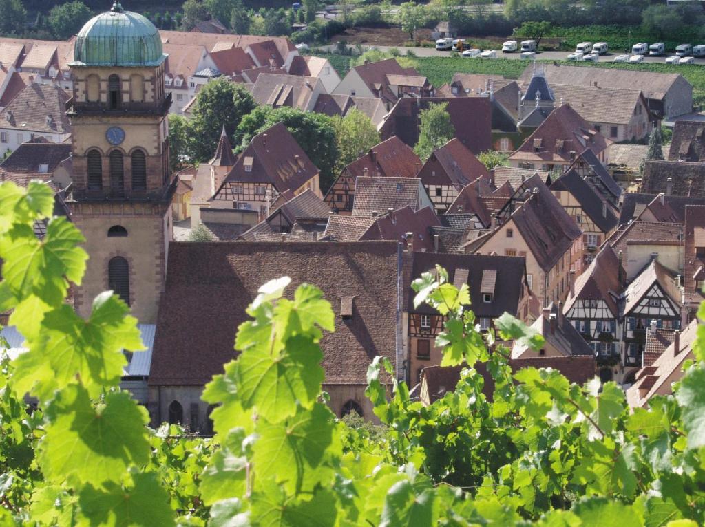 Hotel Les Remparts Kaysersberg-Vignoble Kültér fotó